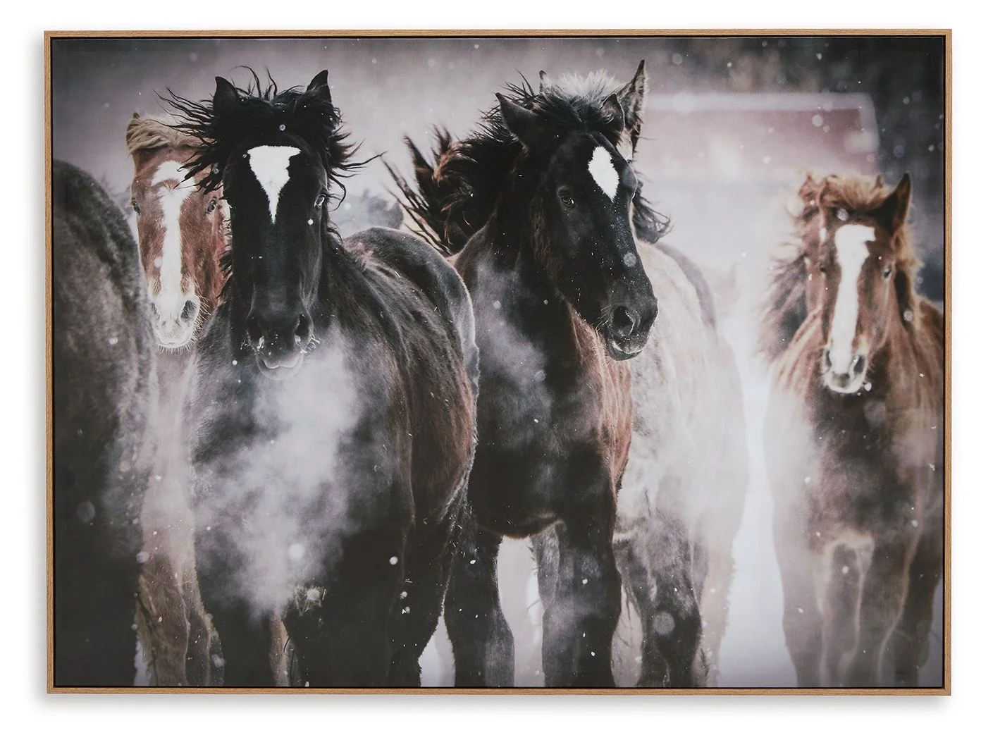 Chaseburn – Wall Art – Brown / Black / White
