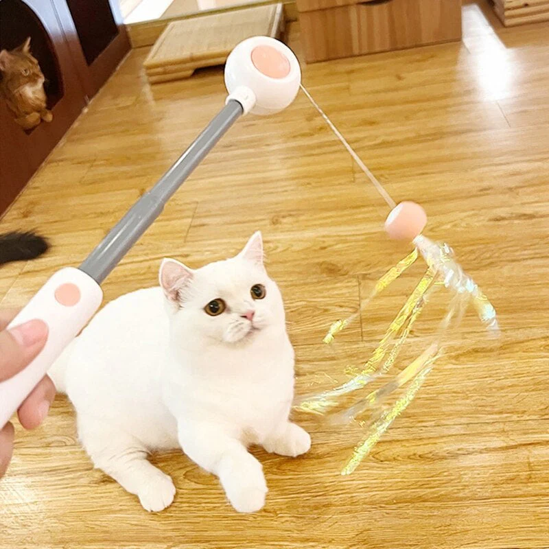 Interactive Cat Teaser Stick Toy - Image 2