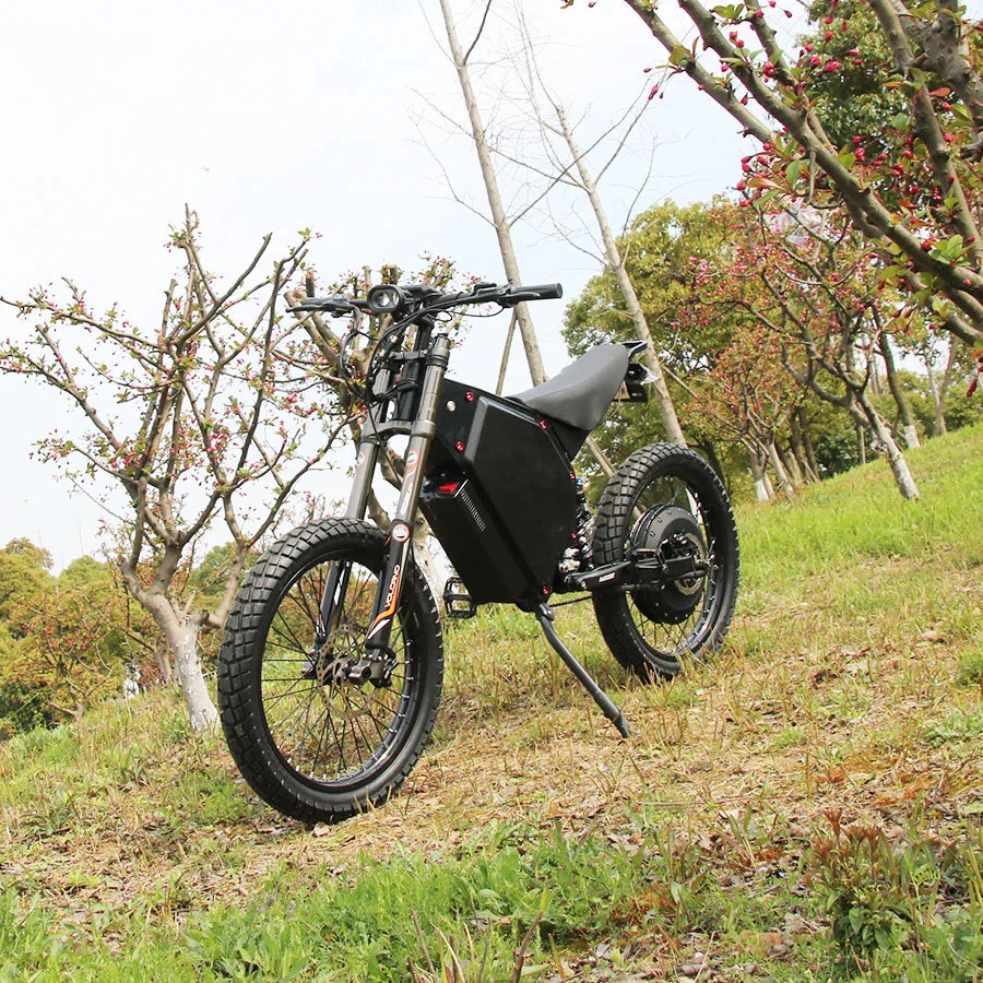 Powerful Mountain Beast Off-Road Adventure Electric Bike