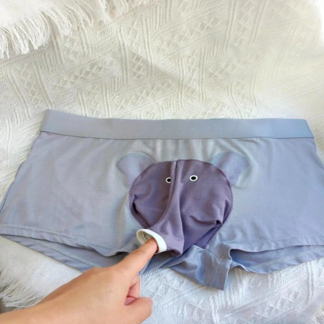 Chill Elephant Ultra-Soft Boxer - Image 2