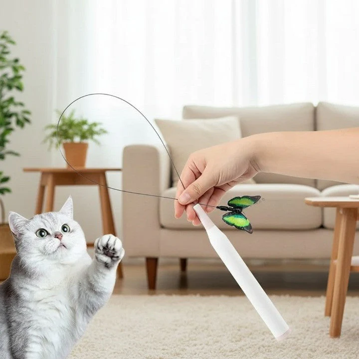 Interactive Rotating Cat Activity Butterfly Toy - Image 2