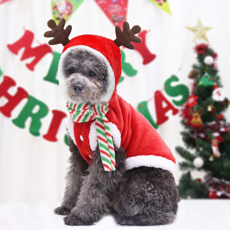Santa Claus Home Winter Pet Costumes - Image 3