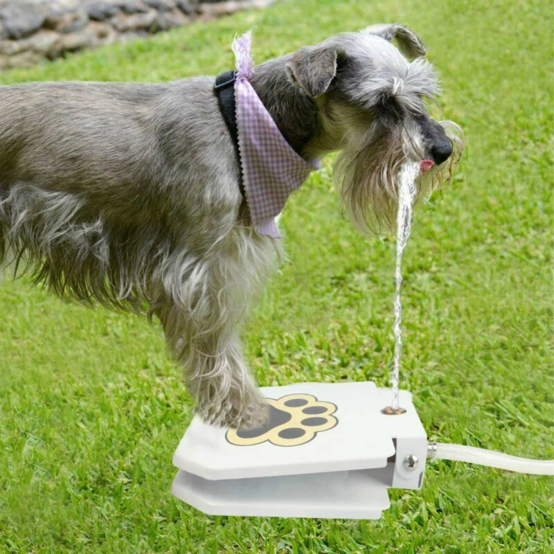 Doggie Water Fountain - Image 1