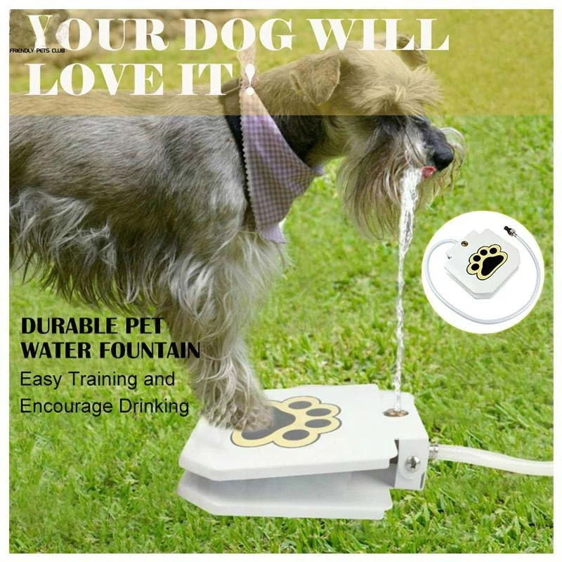 Doggie Water Fountain - Image 3