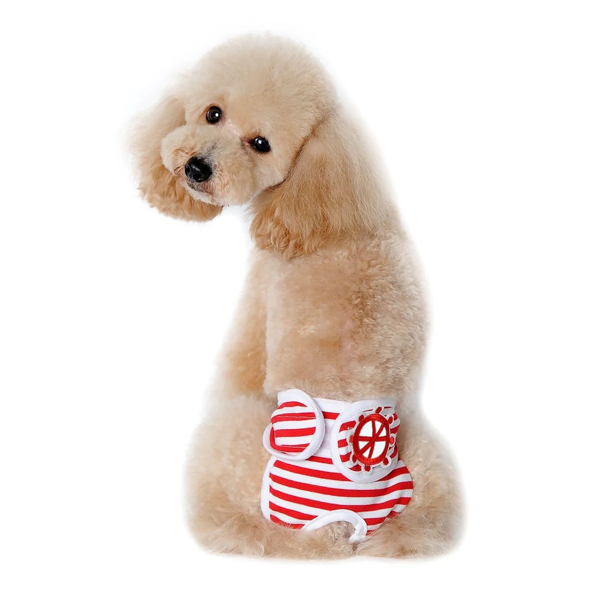 Creative Washable Dog Diaper - Image 3