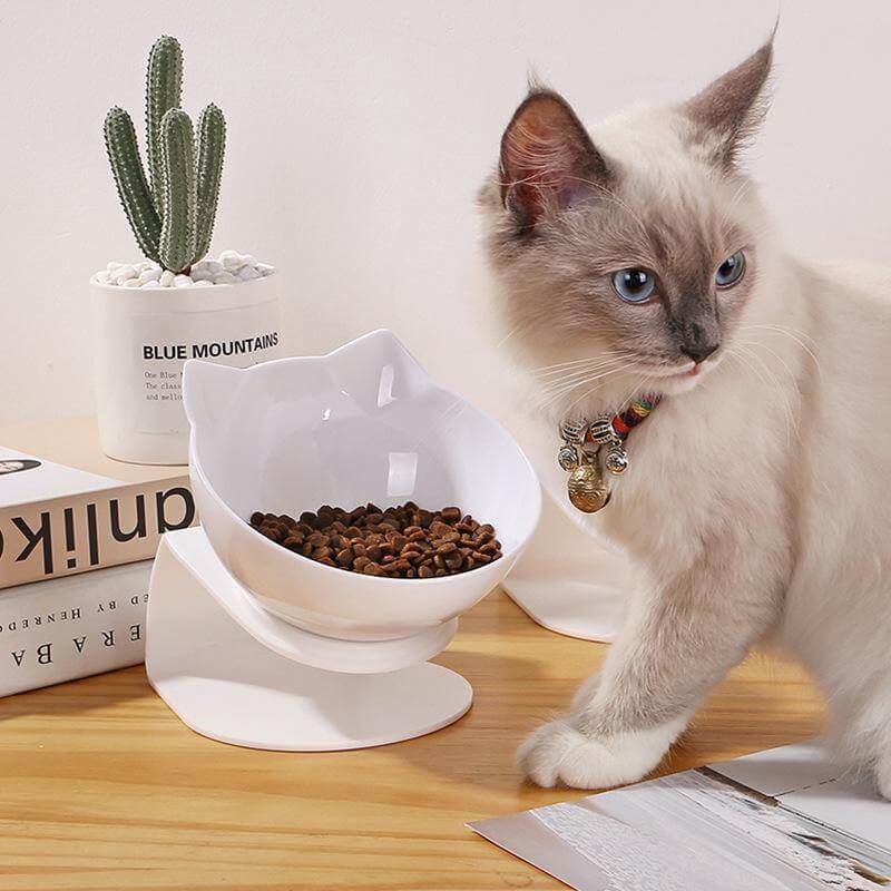 Non-Slip Pet Easy Feeder Bowl - Image 3