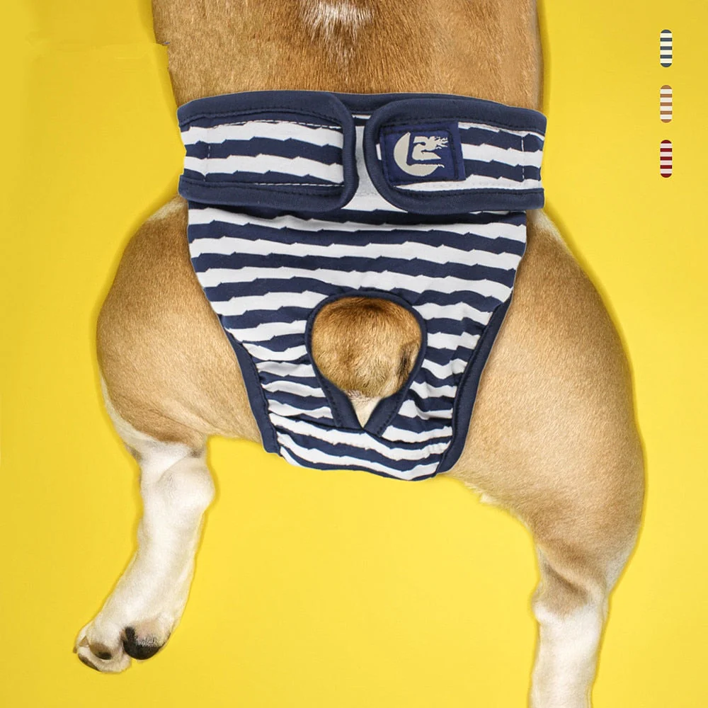 Creative Washable Dog Diaper - Image 1