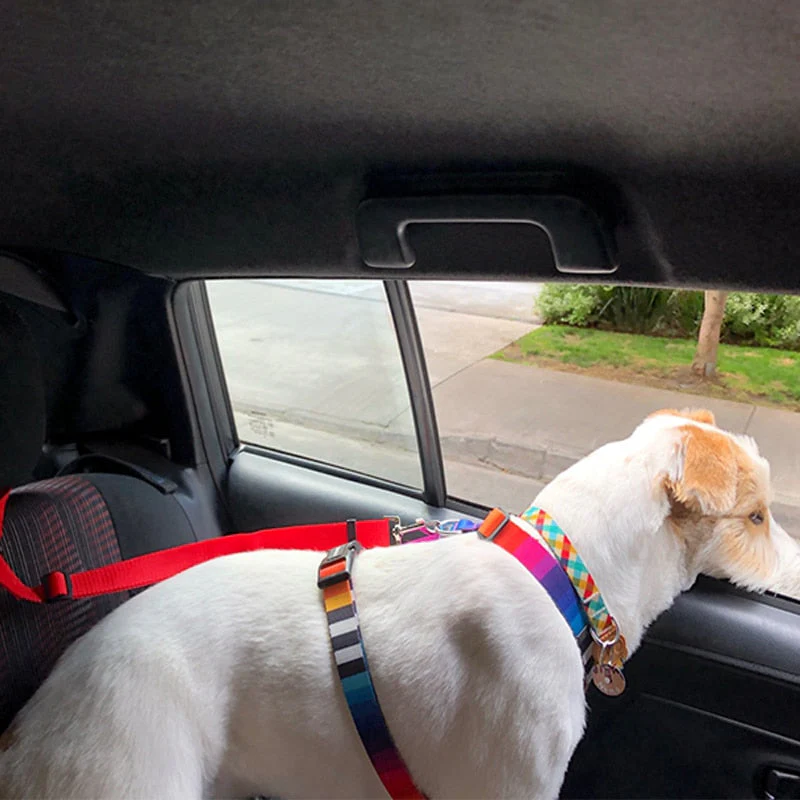 Adjustable Secure Pet Car Seat Belt - Image 2