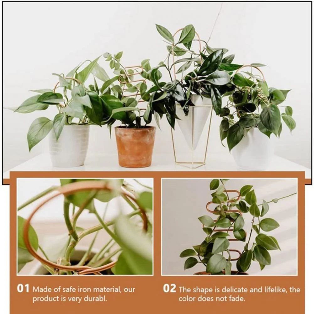 Nordic Plant Climbing Rack - Image 3
