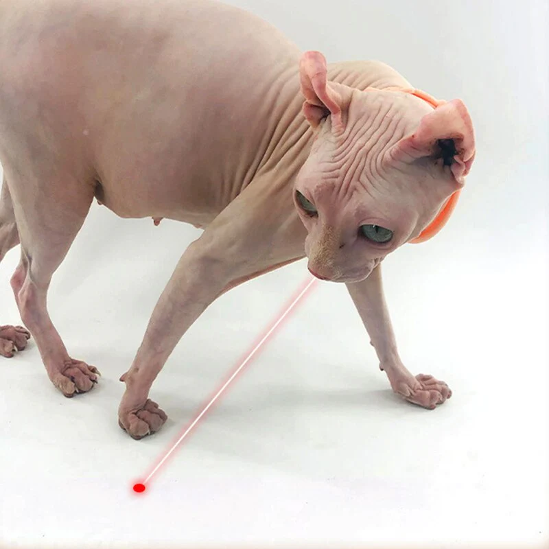 Laser Pointer Flashlight Cat Toy - Image 2
