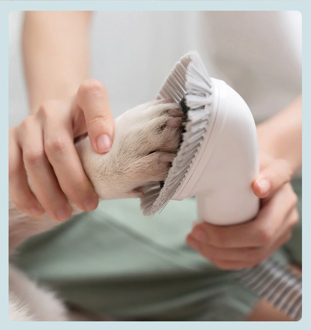 6in1 Electric Pet Grooming Vacuum Cleaner - Image 3