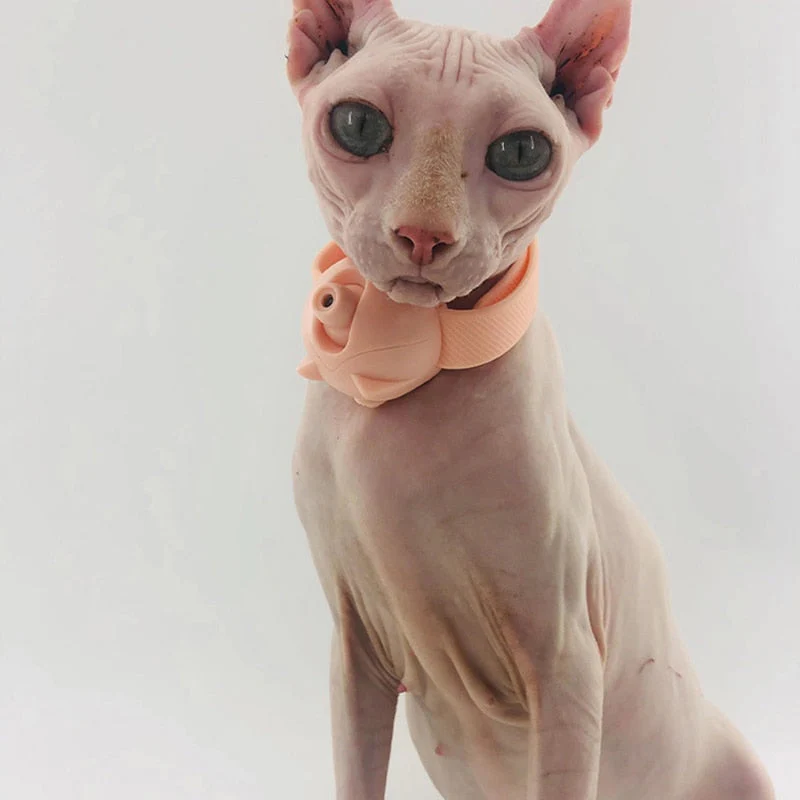 Laser Pointer Flashlight Cat Toy - Image 1