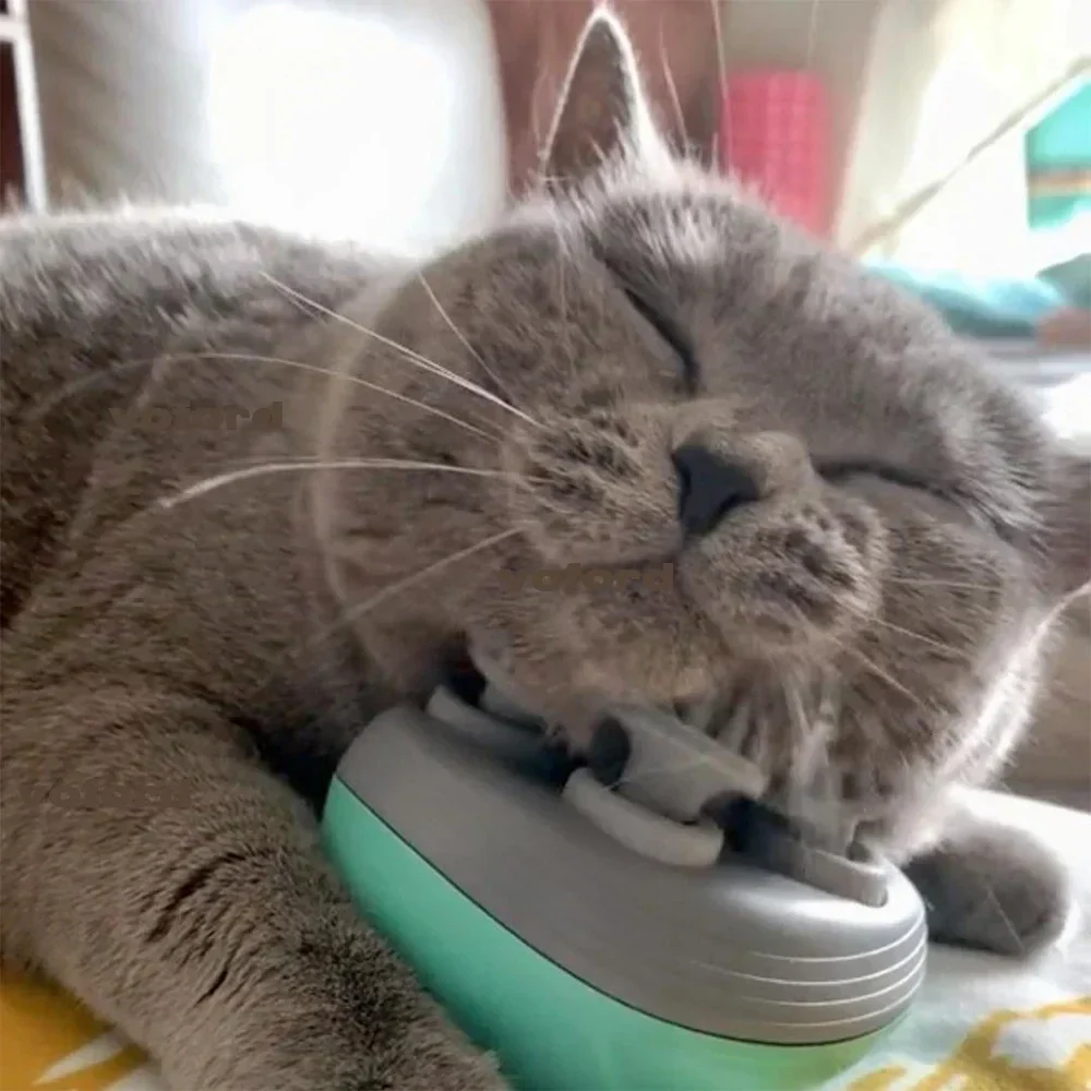 Electric Relax Cat Massager - Image 1