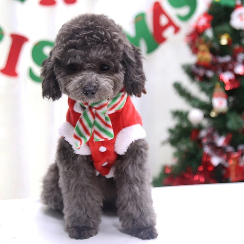 Santa Claus Home Winter Pet Costumes - Image 2