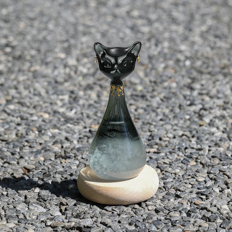 Cat-Inspired Weather Forecast Bottle - Image 2