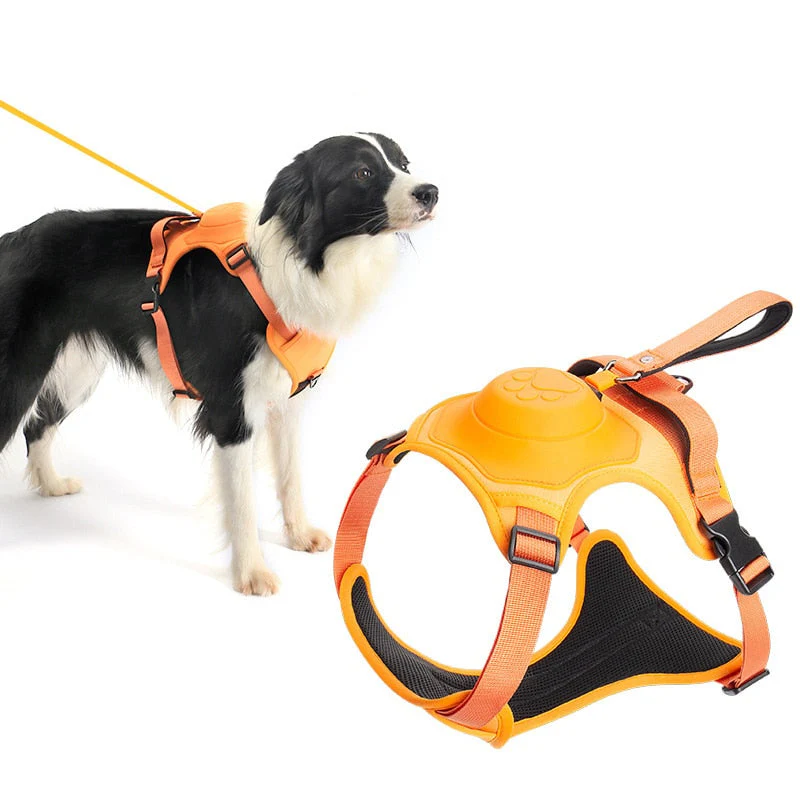 No-Pull Adjustable Comfy Dog Leash Harness - Image 3