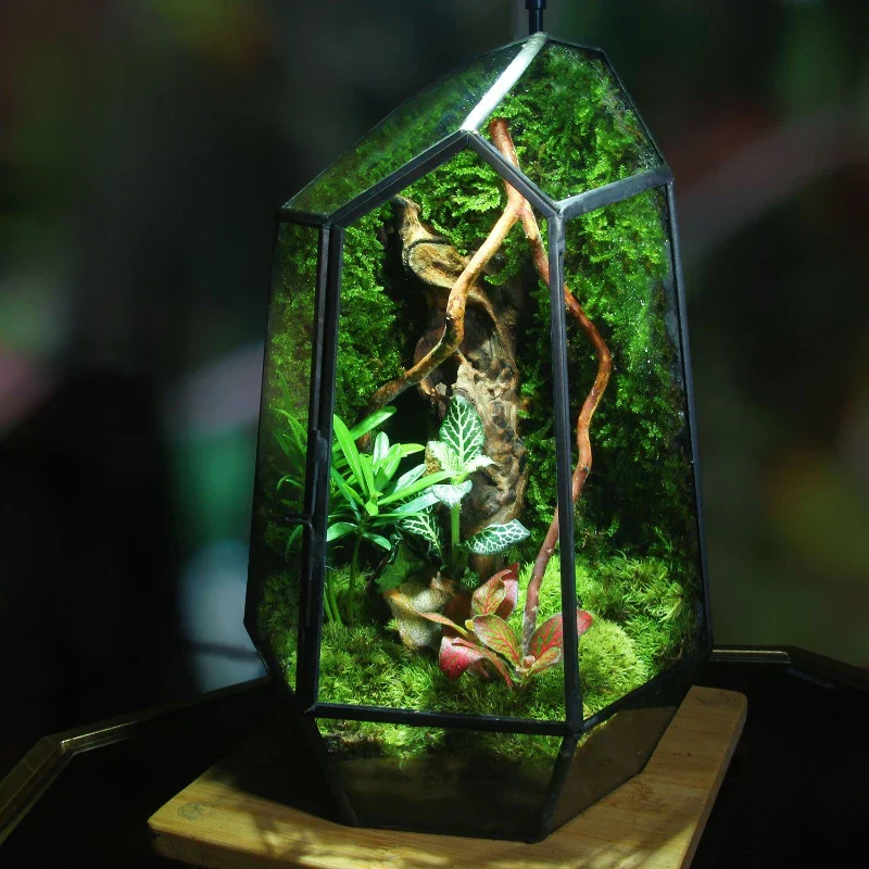 Modern Geometric Nature-Inspired Botanical Terrarium - Image 3