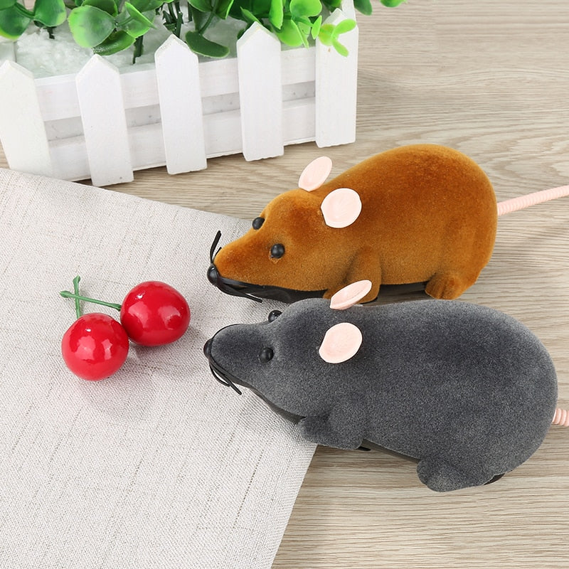 Pet Interactive Remote Control Toy - Image 1