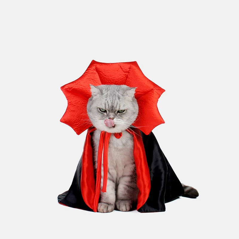 Vampire Cat Halloween Costume - Image 2