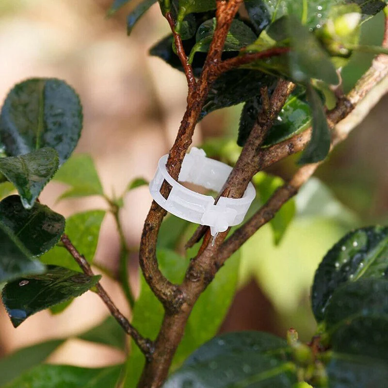 Green Garden Safe Plant Support Clips - Image 2