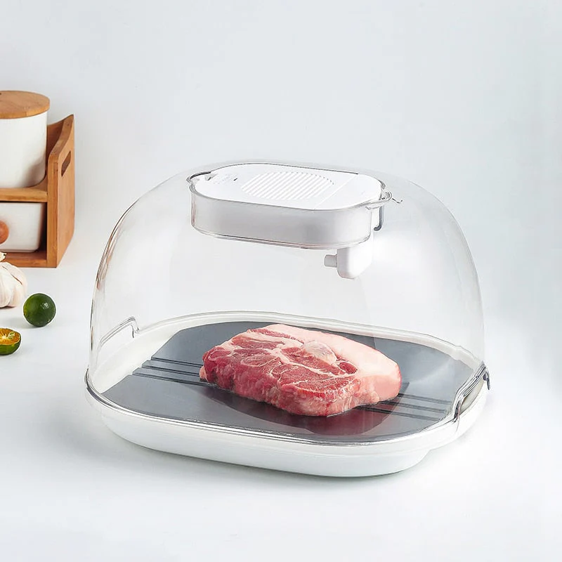 Smart Quick Defrosting Box Machine - Image 1