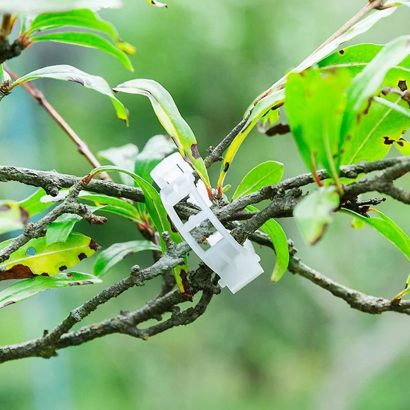 Green Garden Safe Plant Support Clips - Image 3