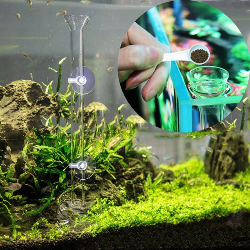 Transparent Aquarium Glass Tube Fish Feeder - Image 1