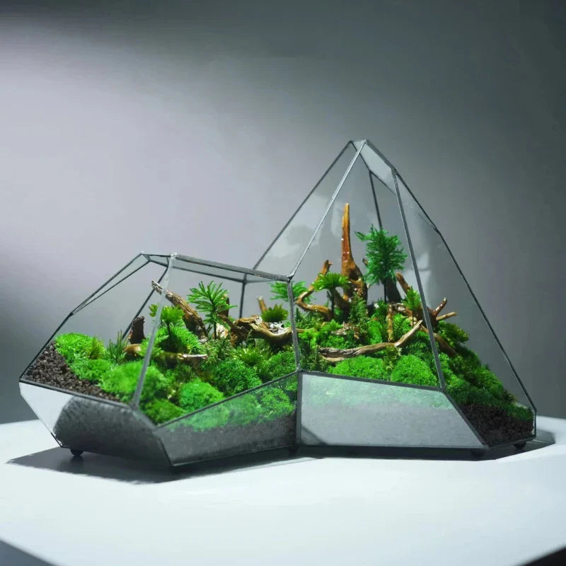Geometric Glass Moss Planter Terrarium Vase - Image 3