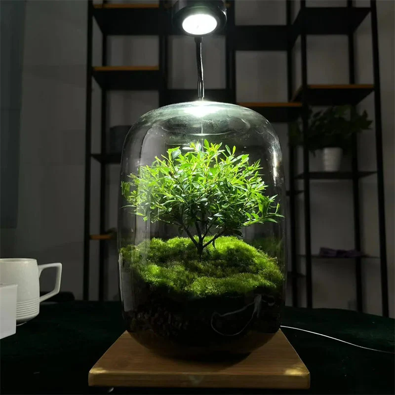 Micro Landscape Green Oasis Glass Vase - Image 3