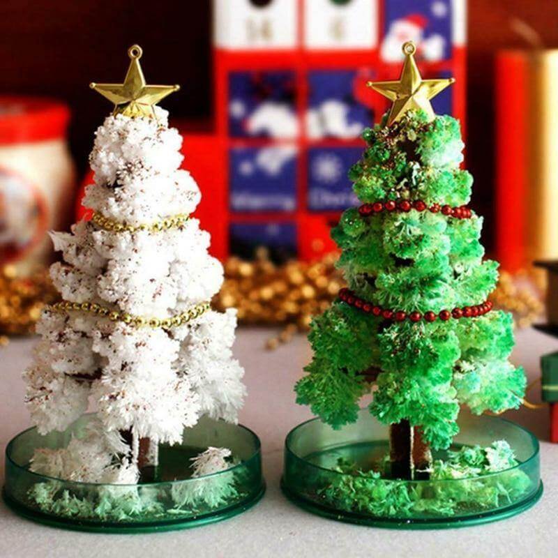 DIY Magic Growing Christmas Tree - Image 1