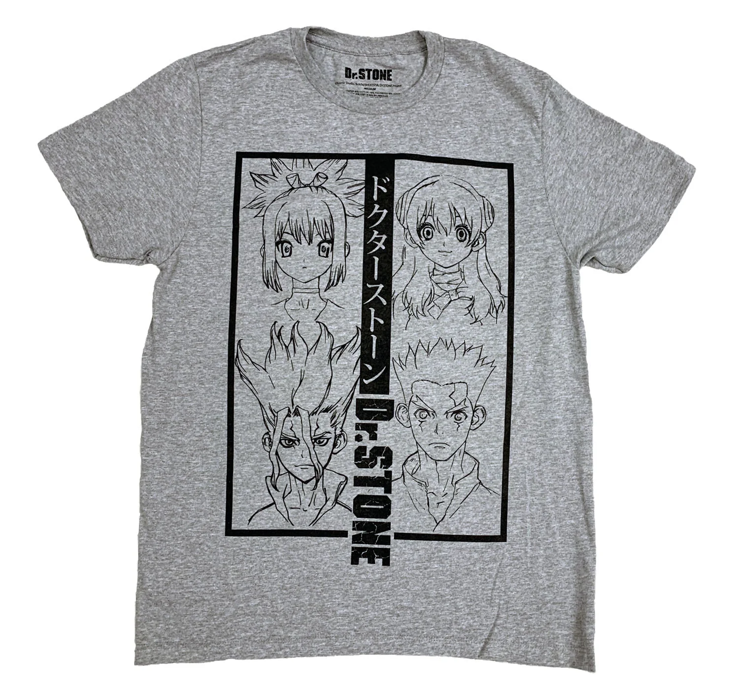 Dr. Stone Group Anime Adult T-Shirt - Image 1