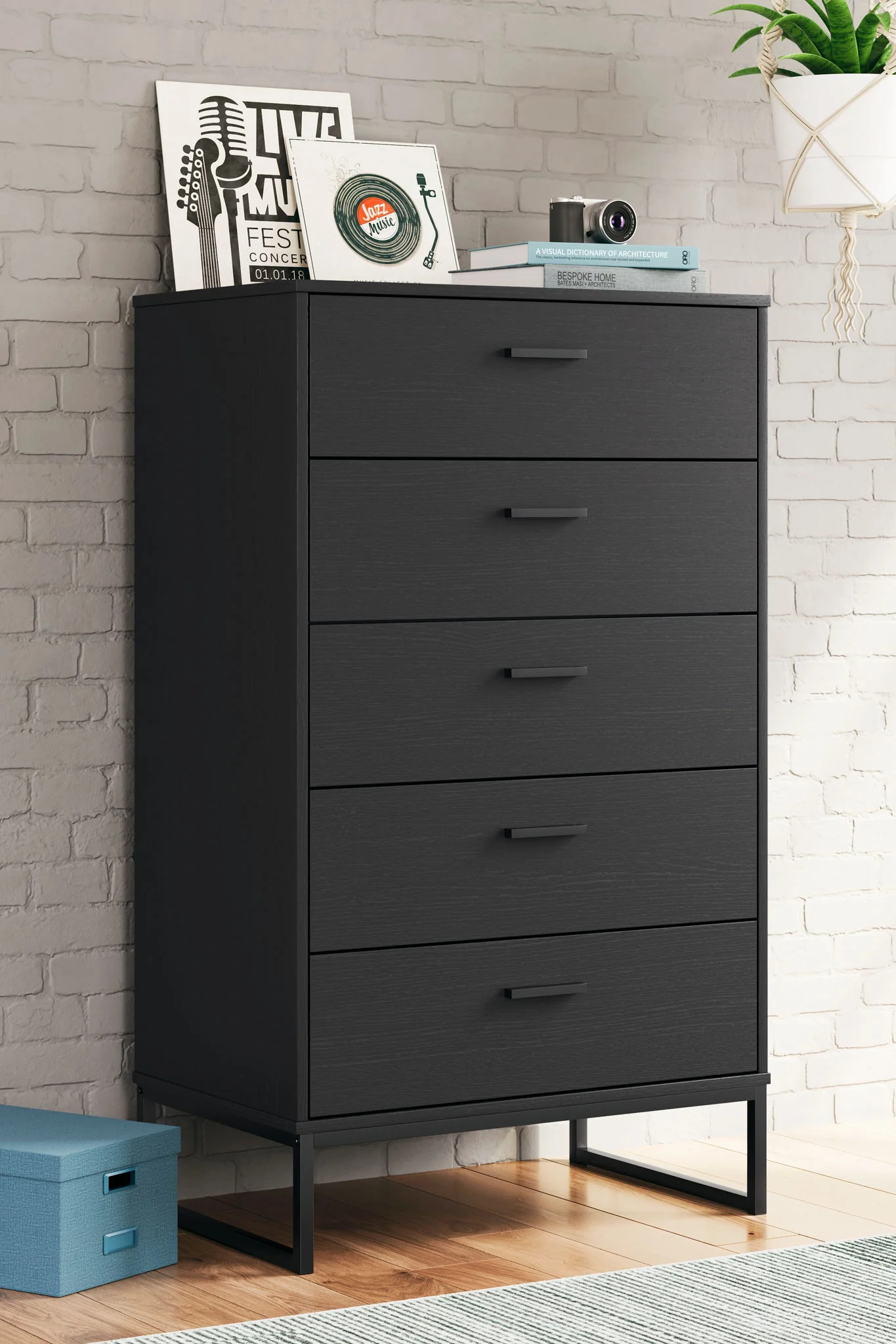 Socalle - Chest - Image 3