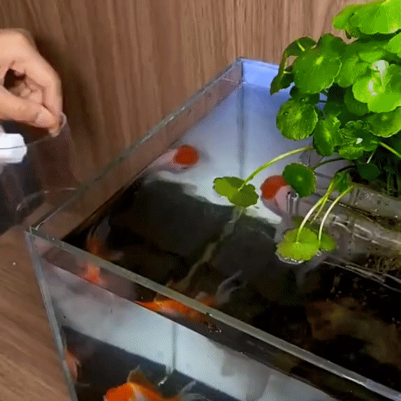 Aquarium Transparent Suction Fish Feeder - Image 3