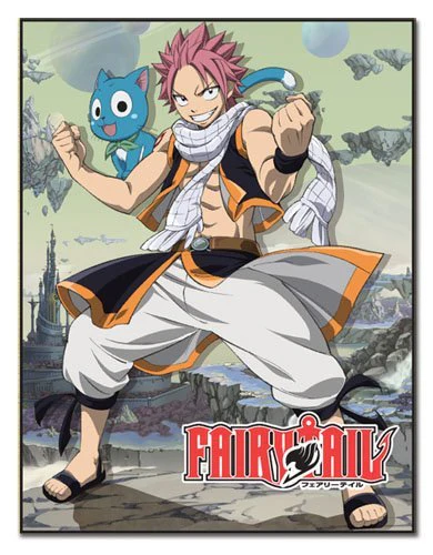 Fairy Tail Natsu & Happy Anime Fleece Throw Blanket - Image 1