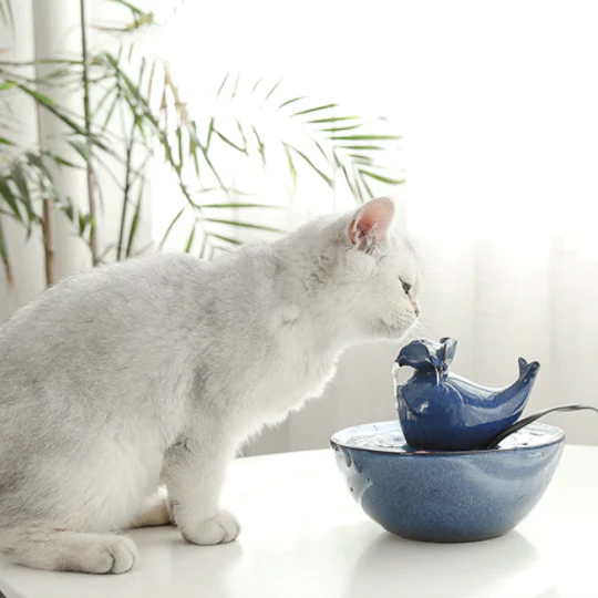 Automatic Circulating Pet Water Dispenser - Image 2