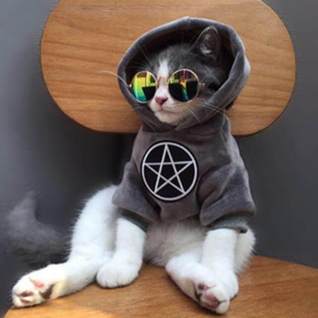 Pet Fashion Hoodie - Image 2