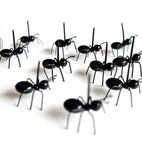 12Pcs Ants Food Fruit Holder - Image 2