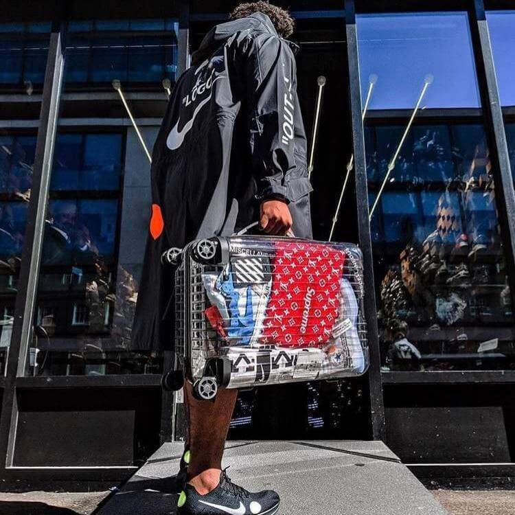 Transparent Traveler Luggage - Image 3