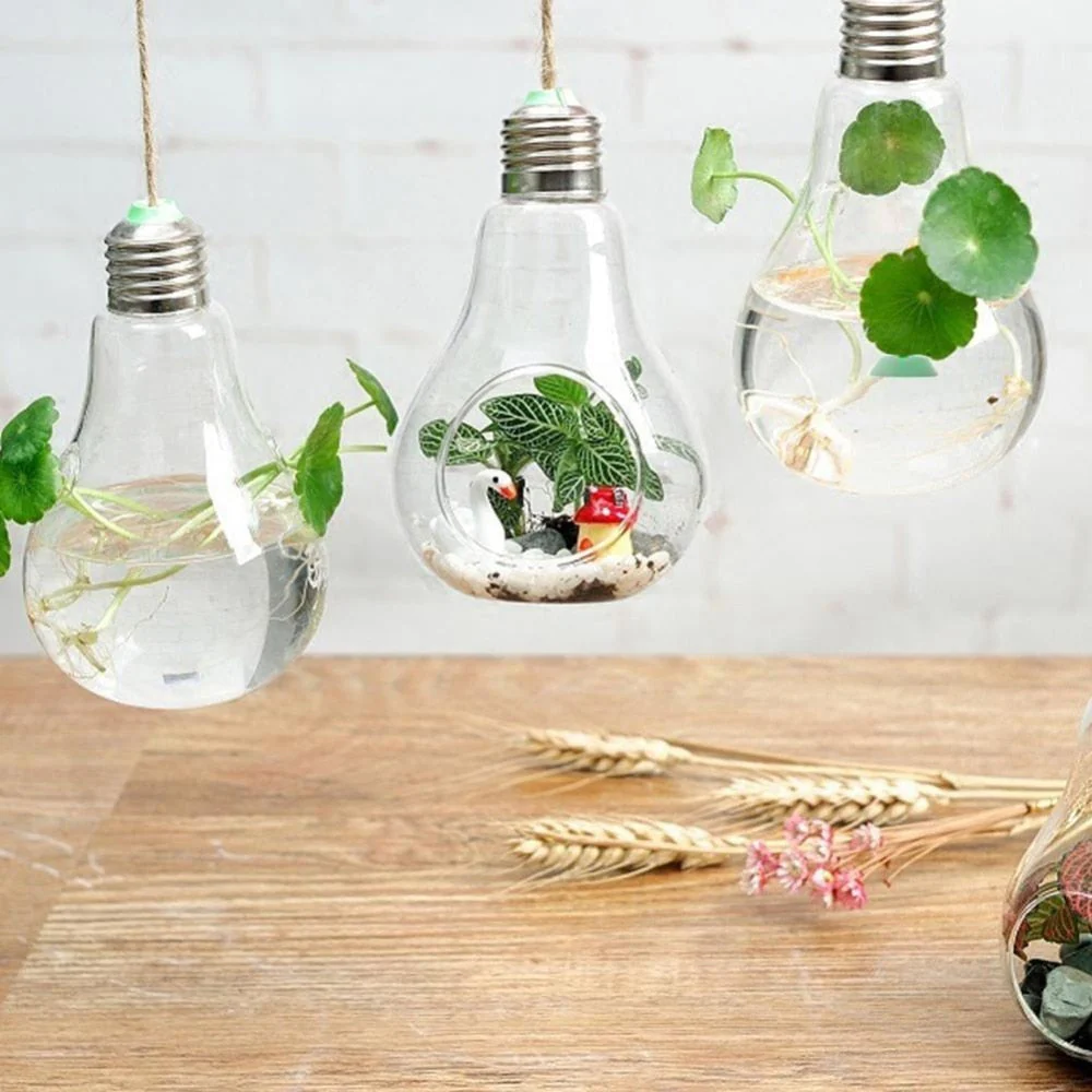 Hanging Glass Light Bulb Lamp Shape Flower Water Plant - Image 2