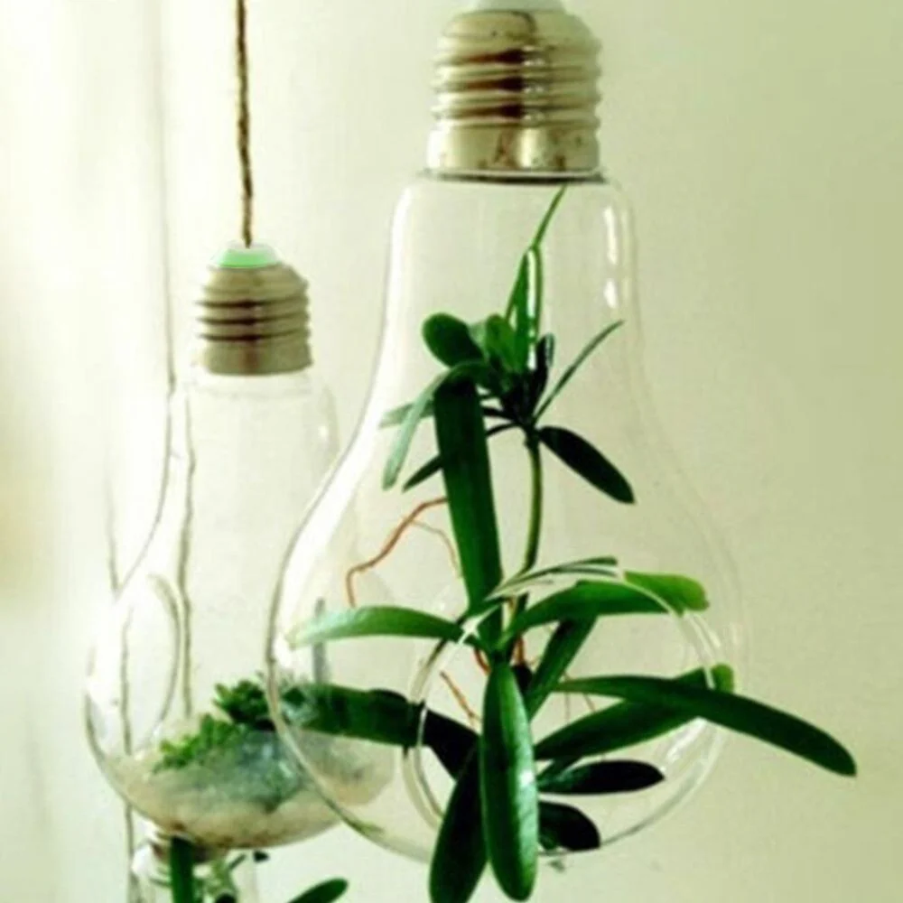 Hanging Glass Light Bulb Lamp Shape Flower Water Plant - Image 3