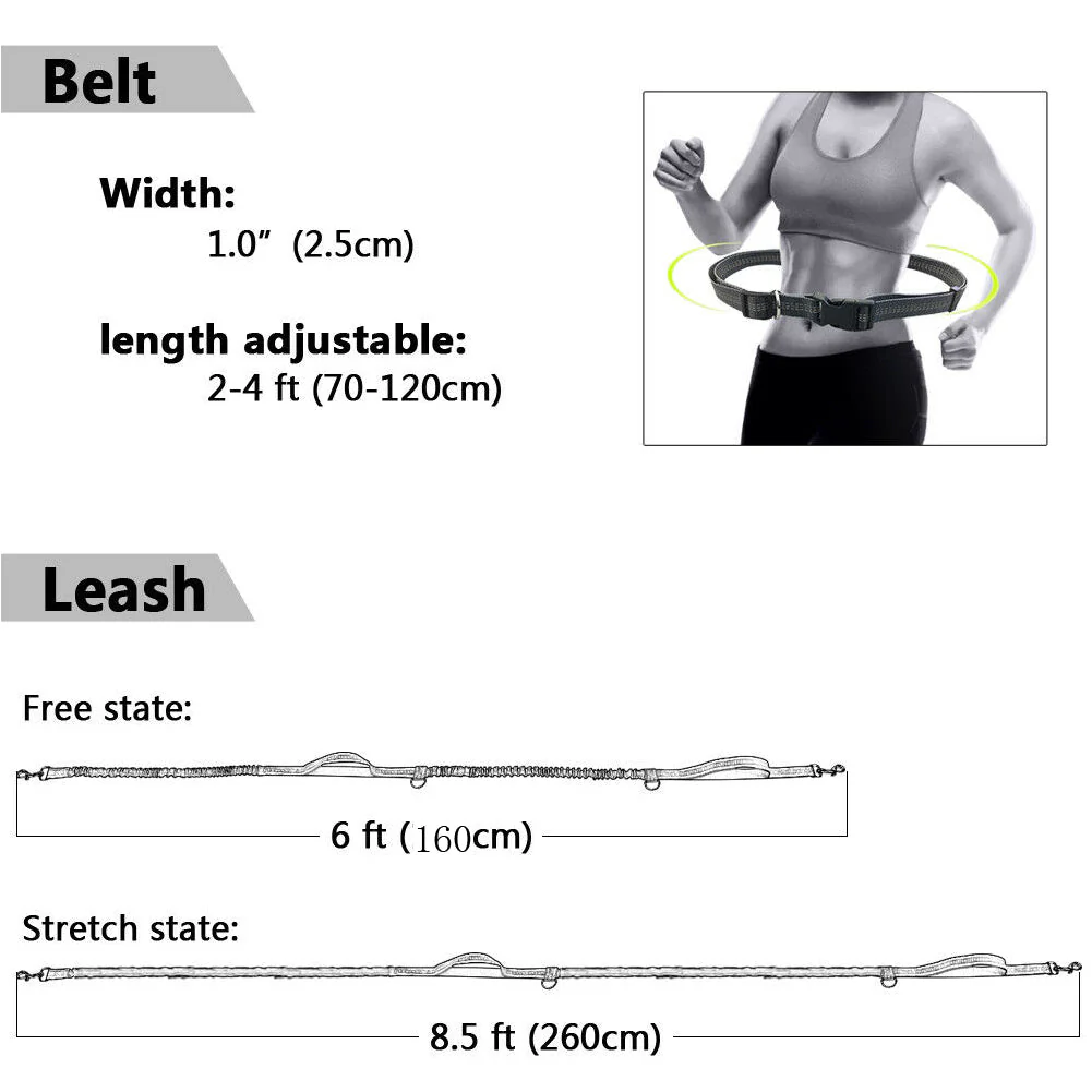 Hands-Free Elastic Waist Dog Leash - Image 3
