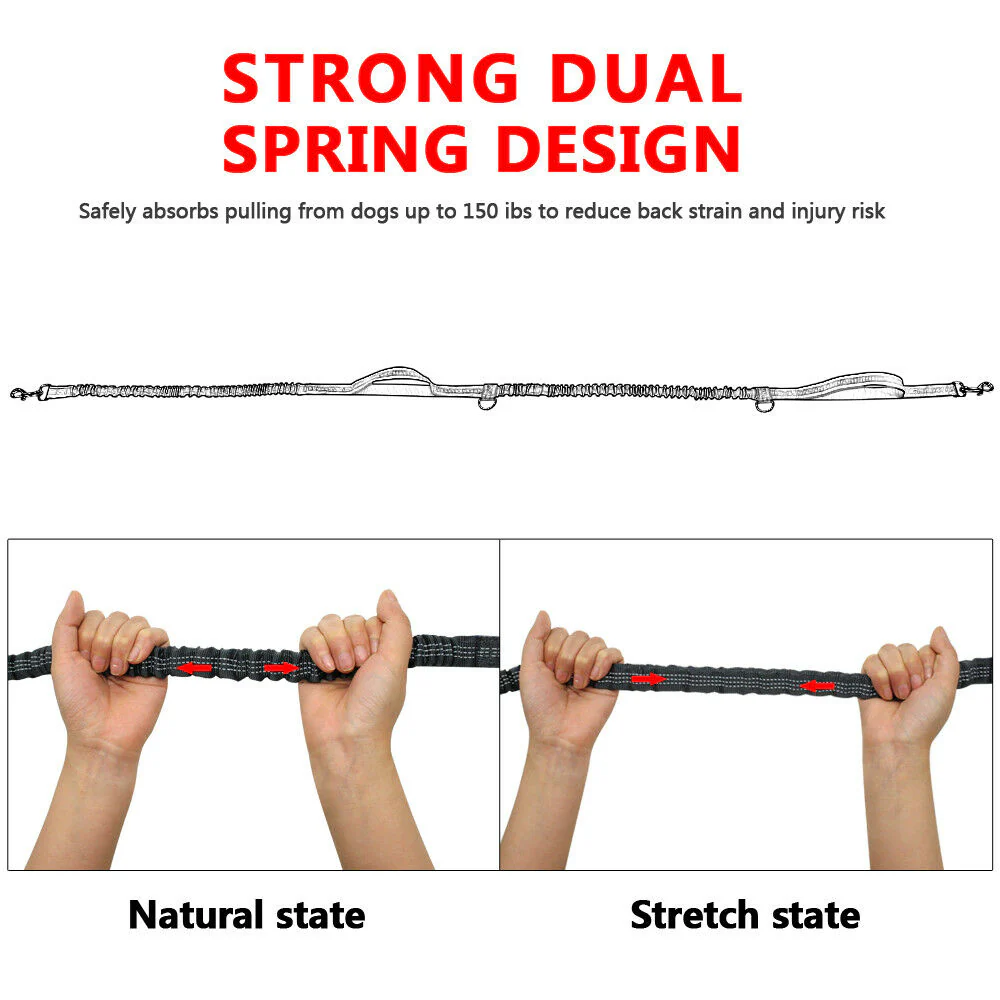 Hands-Free Elastic Waist Dog Leash - Image 2