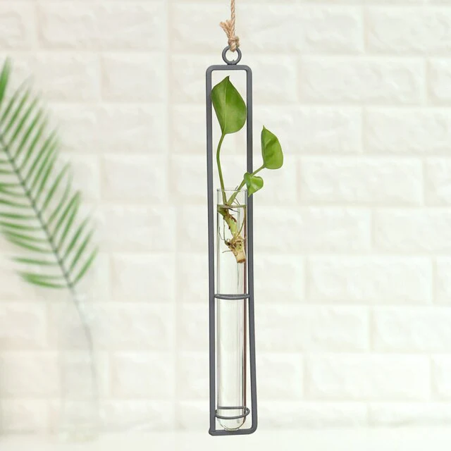 Iron Transparent Wall Hanging Flower Pot - Image 3