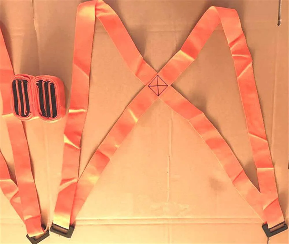 Furniture Moving Strap