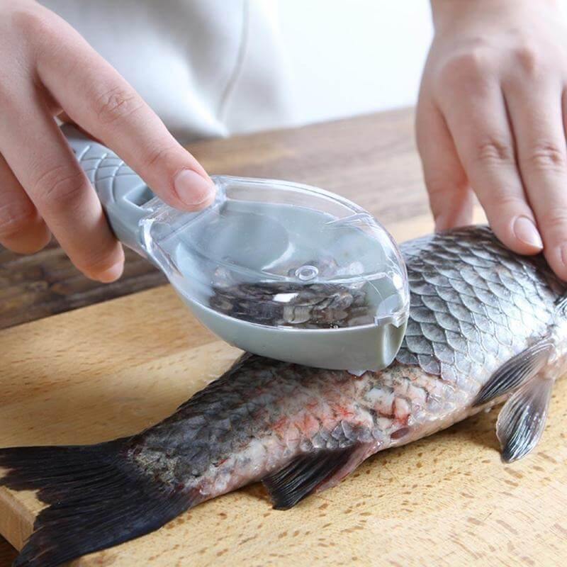 Fish Skin Scraper Gadget - Image 1