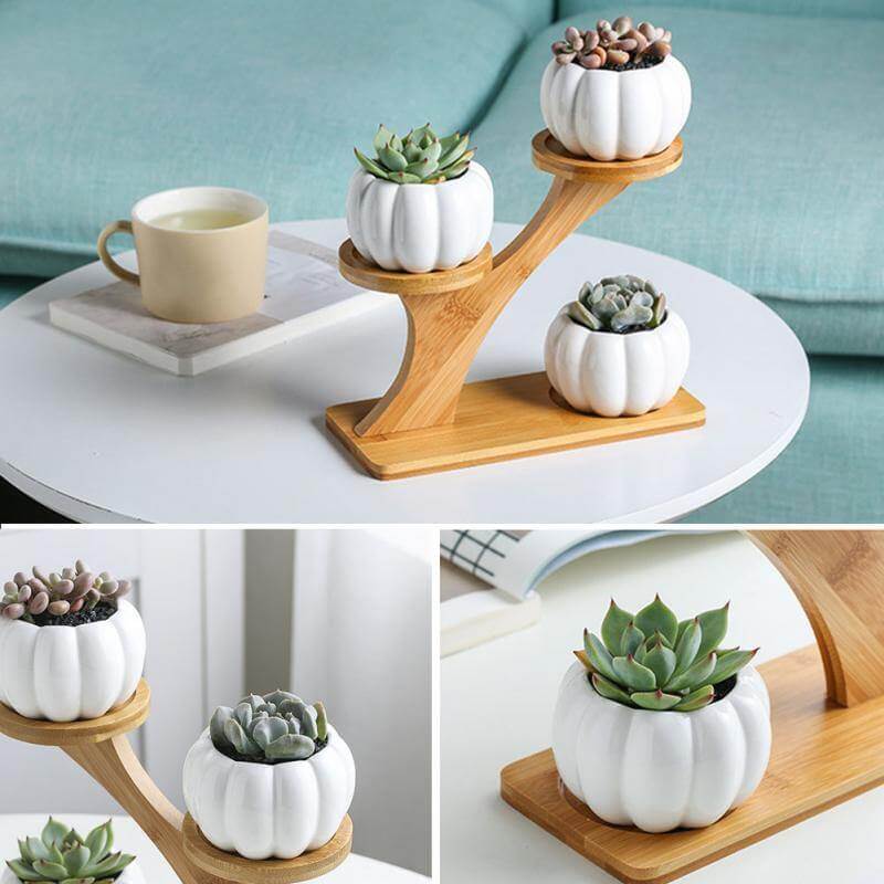 3 Tier Succulent Bamboo Vase Stand - Image 3