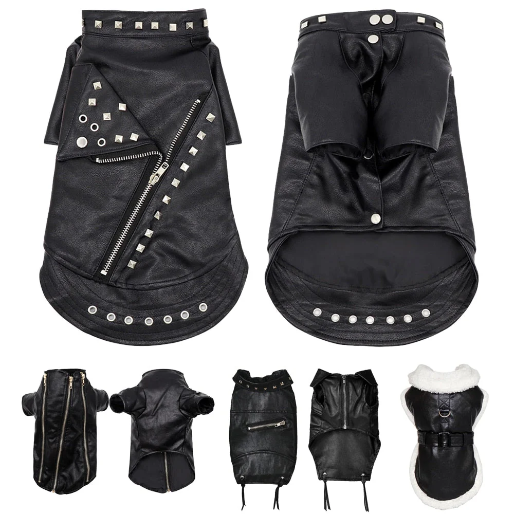 Cool Cute Leather Pet Jacket - Image 3