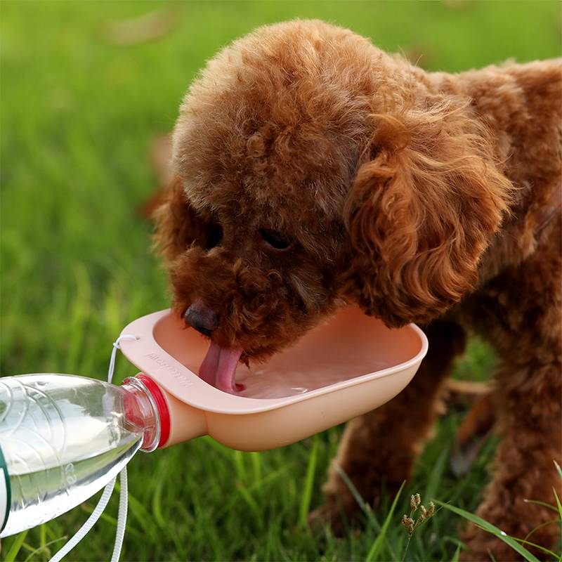 Portable Travel Pet Bottle Water Feeder - Image 1