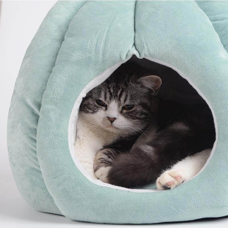 Cactus Shape Cat Bed - Image 3