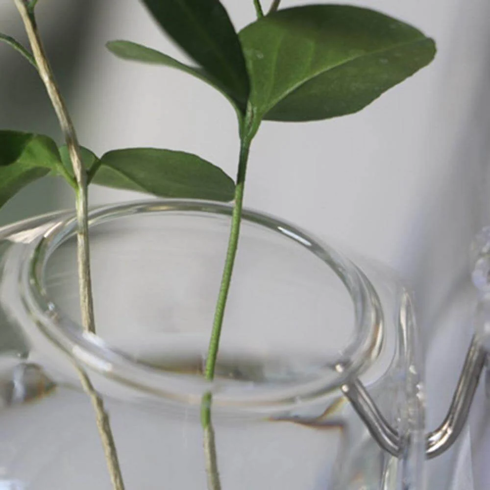 Wall Hanging Hydroponic Glass Vases - Image 2